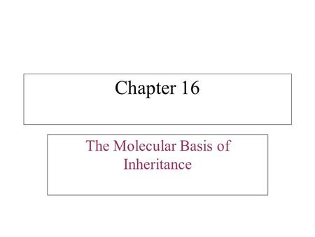 Chapter 16 The Molecular Basis of Inheritance. Fig. 16-1 In 1953, James Watson and Francis Crick introduced an elegant double-helical model for the structure.
