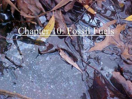 Chapter 10: Fossil Fuels Fossil Fuels Fossil fuels are composed of partially decayed remnants of organisms. They are nonrenewable resources. We have.