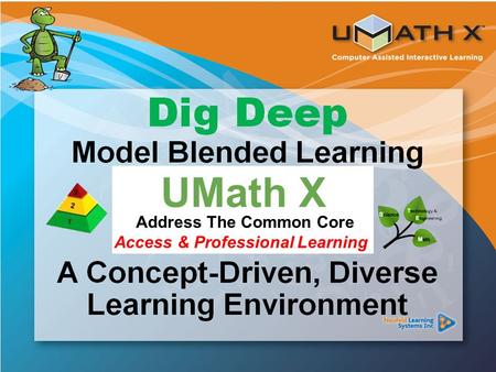 Common Core Standards UMath X Address The Common Core Access & Professional Learning.