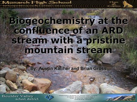 Biogeochemistry at the confluence of an ARD stream with a pristine mountain stream By: Austin Kaliher and Brian Gross.