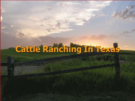 Cattle Ranching In Texas Cattle Trails Vocabulary stockyardChisholm Trail packinghouseWestern Trail cow townGoodnight-Loving Trail round uprustler wranglerchuck.