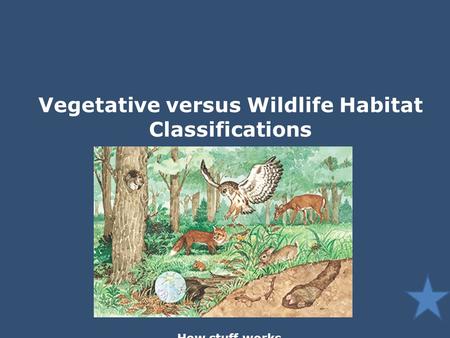 Vegetative versus Wildlife Habitat Classifications How stuff works.