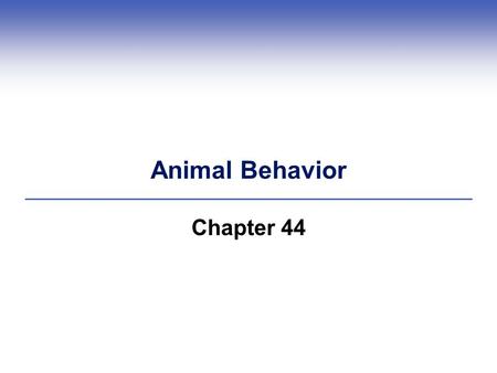 Animal Behavior Chapter 44.
