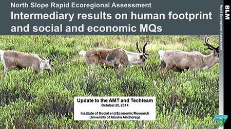 North Slope Rapid Ecoregional Assessment Intermediary results on human footprint and social and economic MQs Update to the AMT and Techteam October 20,