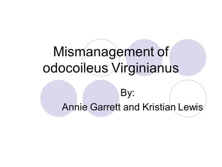 Mismanagement of odocoileus Virginianus By: Annie Garrett and Kristian Lewis.