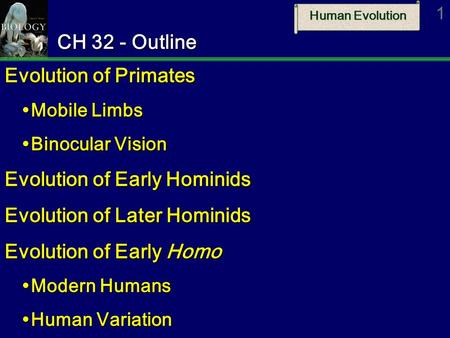 Evolution of Early Hominids Evolution of Later Hominids
