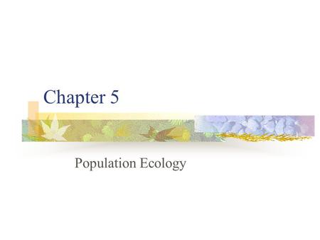 Chapter 5 Population Ecology. Counting individuals What constitutes an individual organism?