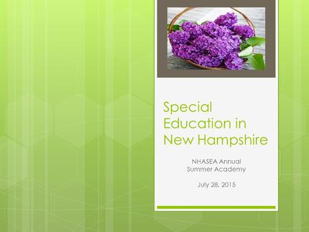Special Education in New Hampshire NHASEA Annual Summer Academy July 28, 2015.