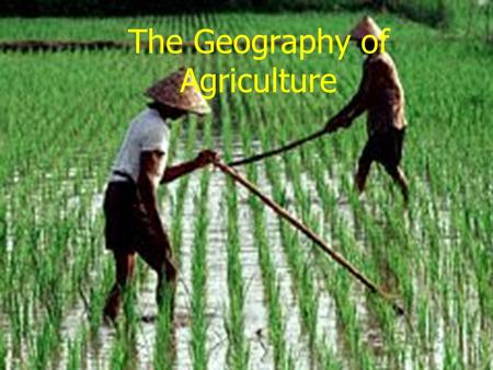 The Geography of Agriculture. Agriculture’s Origins and History Classifying Agricultural Regions The Von Th Ü nen Model and Location Analysis The Green.