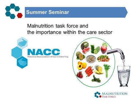 Summer Seminar Malnutrition task force and the importance within the care sector.