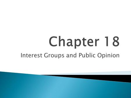 Interest Groups and Public Opinion. Interest Group Organization.