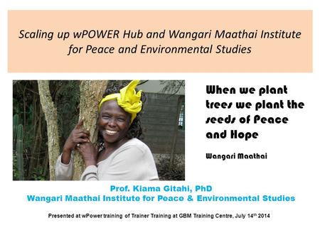 Scaling up wPOWER Hub and Wangari Maathai Institute for Peace and Environmental Studies Prof. Kiama Gitahi, PhD Wangari Maathai Institute for Peace & Environmental.