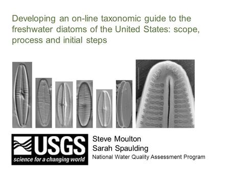 Developing an on-line taxonomic guide to the freshwater diatoms of the United States: scope, process and initial steps Steve Moulton Sarah Spaulding National.