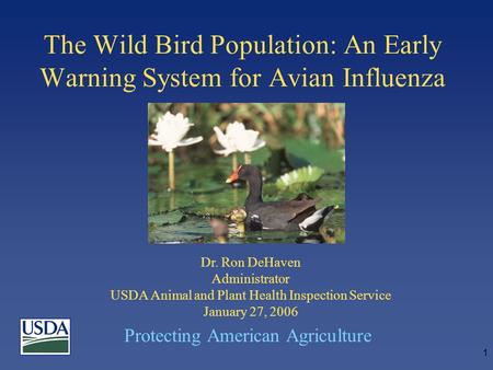 Protecting American Agriculture 1 The Wild Bird Population: An Early Warning System for Avian Influenza Dr. Ron DeHaven Administrator USDA Animal and Plant.
