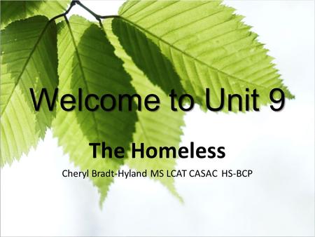 The Homeless Cheryl Bradt-Hyland MS LCAT CASAC HS-BCP