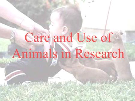 Care and Use of Animals in Research. Care and Use of Animals in Research Public Involvement  1962 – Silent Spring, by Rachel Carson  1966 – LIFE magazine.