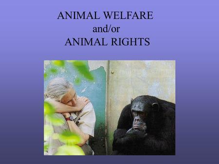 ANIMAL WELFARE and/or ANIMAL RIGHTS. TOM REGAN > Philosopher, Activist.