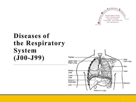 Diseases of the Respiratory System (J00-J99)