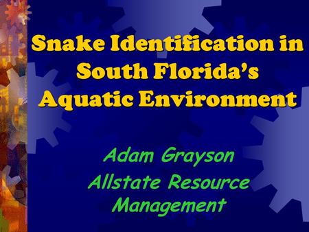 Snake Identification in South Florida’s Aquatic Environment