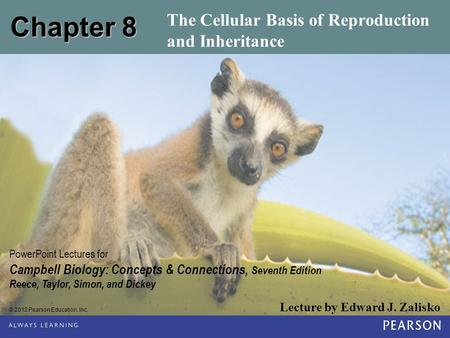 © 2012 Pearson Education, Inc. Lecture by Edward J. Zalisko PowerPoint Lectures for Campbell Biology: Concepts & Connections, Seventh Edition Reece, Taylor,