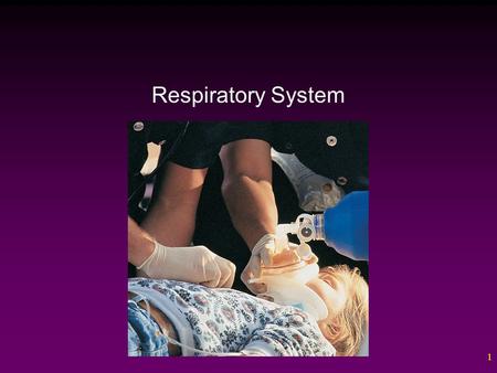 1 Respiratory System. 2 Outline The Respiratory Tract – The Nose – The Pharynx – The Larynx – The Bronchial Tree – The Lungs Gas Exchange Mechanisms of.