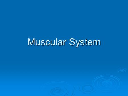 Muscular System. Introduction  You have over 600 skeletal muscles (656- 850 depending on who you talk to)  Muscles account for 40% of our body weight.