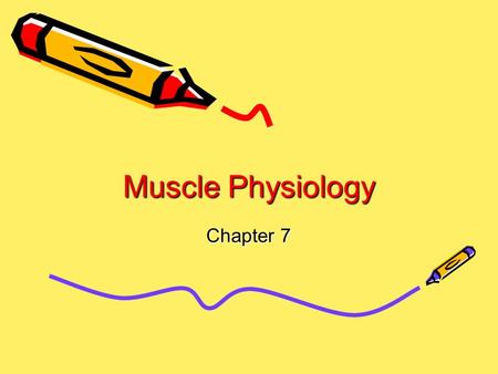 Muscle Physiology Chapter 7.