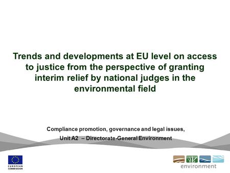 Trends and developments at EU level on access to justice from the perspective of granting interim relief by national judges in the environmental field.