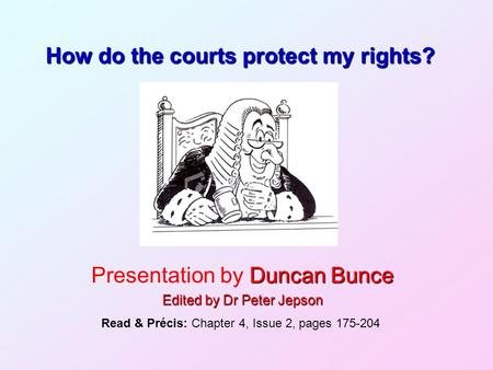 How do the courts protect my rights?