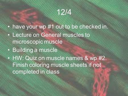 12/4 have your wp #1 out to be checked in. Lecture on General muscles to microscopic muscle Building a muscle HW: Quiz on muscle names & wp #2. Finish.