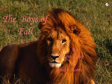 The Boys of Fall By: Stormi Gray & Haley Norris. Hubbertville isn’t just a High school and it doesn’t just have a sports program, everyone in the Hubbertville.
