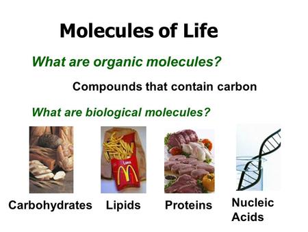 What are organic molecules?