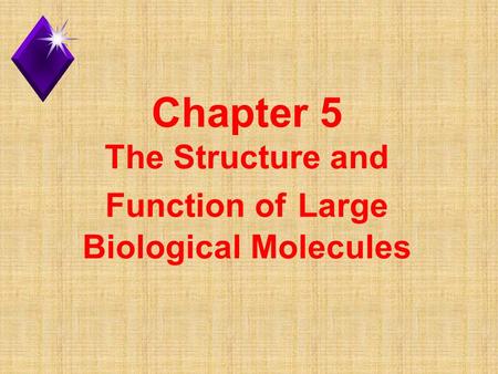 Chapter 5 The Structure and Function of Large Biological Molecules