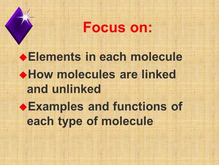 Focus on: u Elements in each molecule u How molecules are linked and unlinked u Examples and functions of each type of molecule.