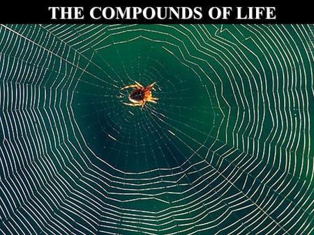 THE COMPOUNDS OF LIFE.