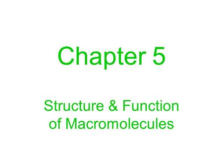 Chapter 5 Structure & Function of Macromolecules.