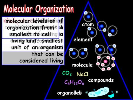 Atom element molecule compounds cell NaCl CO 2 C 6 H 12 O 6 smallest unit of matter that retains its chemical properties a substance made up of only one.