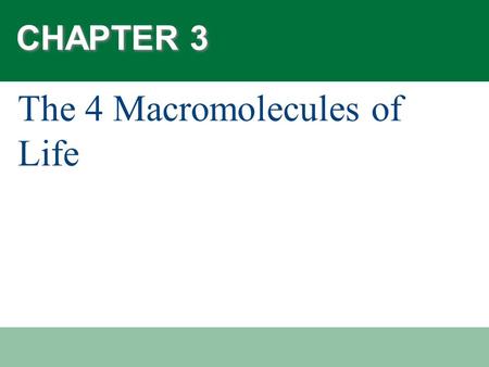 The 4 Macromolecules of Life