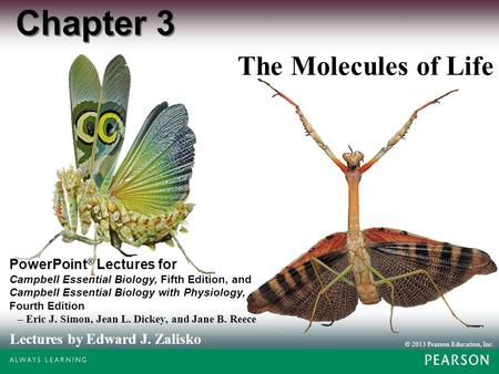 Chapter 3 The Molecules of Life.