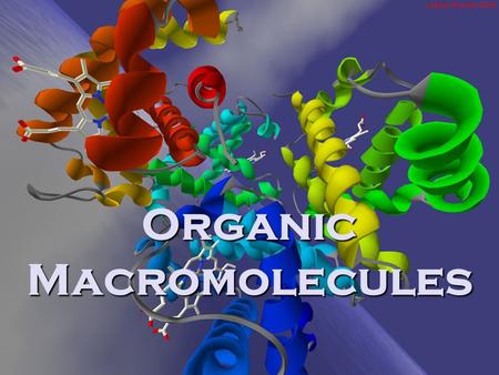 Organic Macromolecules. Chemical Reactions The rearrangement of atoms 6 CO 2 + 6 H 2 O  C 6 H 12 O 6 + 6 O 2 (Reactants) (Products)