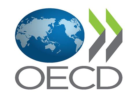Explain of OECD Democratic Structures Market Economy Economic, Social and Governance issues.