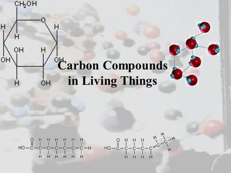 Carbon Compounds in Living Things