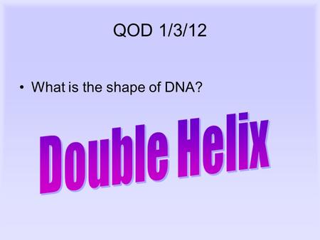 QOD 1/3/12 What is the shape of DNA?. DNA, RNA, and Protein Synthesis.