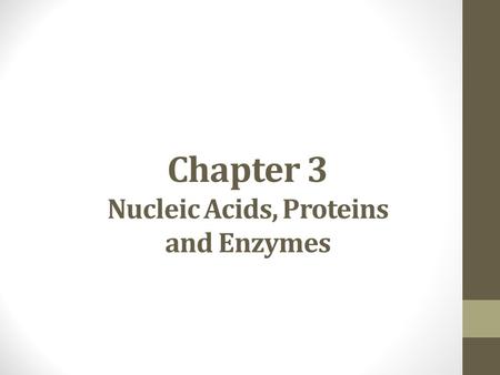 Chapter 3 Nucleic Acids, Proteins and Enzymes. Nucleic Acids Informational polymers Made of C,H,O,N and P No general formula Examples: DNA and RNA.