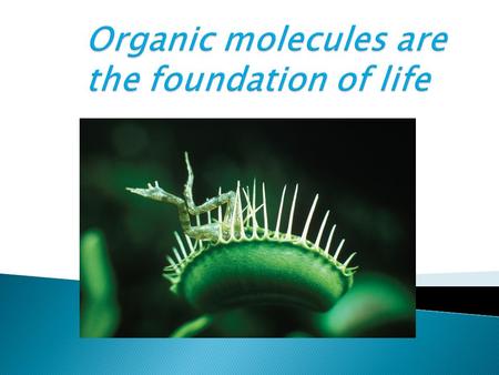 Organic molecules are the foundation of life
