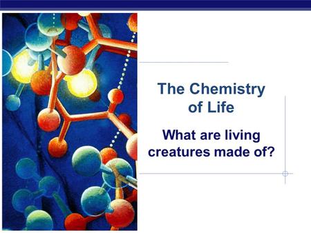 The Chemistry of Life What are living creatures made of?