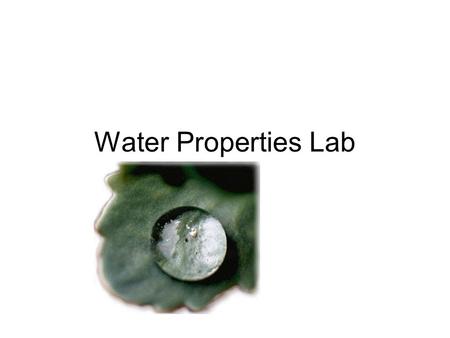 Water Properties Lab. Water is Polar Covalent Nonpolar Oxygen (even sharing of e-) Uneven sharing of e-