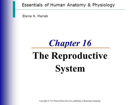 Chapter 16 The Reproductive System