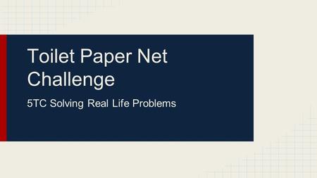 Toilet Paper Net Challenge