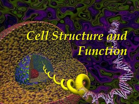 Cell Structure and Function. The Cell Theory v All living things are composed of cells. v Cells are the basic units of structure and function in living.